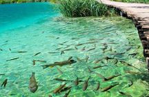  Private eclectic experience of Rastoke and Plitvice Lakes National Park