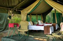7 Days Safari. Serengeti, Tarangire, Lake Manyara & Ngorongoro Crater.