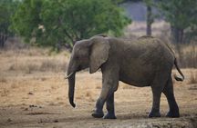 7 Days Safari. Serengeti, Tarangire, Lake Manyara & Ngorongoro Crater.