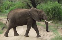 3 Days Lodge Safari