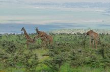 3 Days Lodge Safari