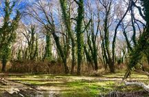 Albania Birdwatching, Kayaking, Bicycle National Park Divjaka Karavasta(ARG)
