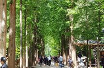 Muslim Tour (Nami Island + Petite France)