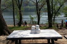 Muslim Tour (Nami Island + Petite France)