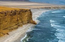 2 Day Tour from Lima: Paracas, Ballestas Island and Huacachina