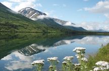 Anchorage to Whittier Cruise Transfer and Private Tour