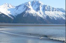 Seward to Anchorage Cruise Transfer and Private Tour