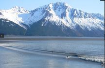 Whittier to Anchorage Cruise Transfer and Private Tour