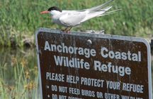 Whittier to Anchorage Cruise Transfer and Private Tour