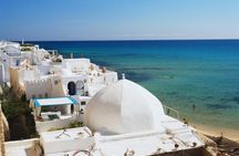From Tunis or Hammamet: Private tour Nabeul- Hammamet