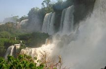 Iguazú Argentine Falls with Jungle Walk and Boat