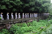 Half-Day Hangzhou Tianzhu Buddhist Mountain Hiking Tour with Green Tea Village 