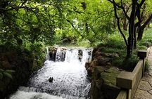 Half-Day Hangzhou Tianzhu Buddhist Mountain Hiking Tour with Green Tea Village 