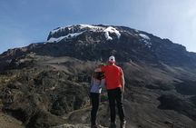 8-Day Mount Kilimanjaro Trekking Tour Lemosho Route 