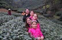 Half-Day Hangzhou Private Tour with Green Tea Village and Lingyin Temple