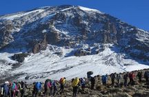Mount Kilimanjaro: 7-Day Trekking - Lemosho Route