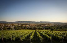 Enjoy and Taste the Flavors of Wine in an Open-air Venue