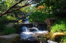 Hangzhou Private Day Tour with West Lake, Tea Village, Lingyin Temple and More