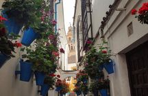 Private Córdoba Highlights Walking Tour