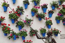 Private Córdoba Highlights Walking Tour