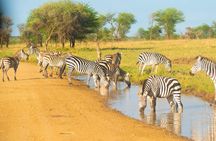 4 Days Lodge Safari