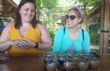 Batur Sunrise Trekking-hot spring-Tegalalang Rice Terraces