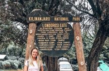 Mount Kilimanjaro: 7-Day Trekking - Lemosho Route