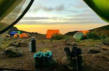 8-Day Mount Kilimanjaro Trekking Tour Lemosho Route 