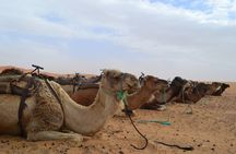 2 Days / 1 Nights, Fes To Fes Desert Tour