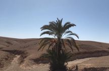 2 Days / 1 Nights, Fes To Fes Desert Tour