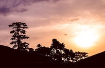 The Dja Biodiversity Reserve Safari 7Days/ 6 Nights