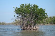 The Dja Biodiversity Reserve Safari 7Days/ 6 Nights