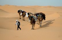 Camel riding Adventure at Great Oriental Erg 7Days/ 6 Nights