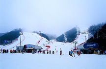 Nami Island + Ski Tour 