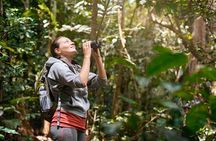 Costa Rica Natural 6D/5N Vacation Package