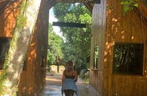 Mount Kilimanjaro: 7-Day Trekking - Machame Route