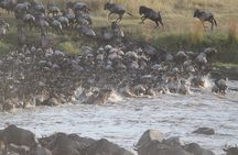 5 Days/4 Nights Kenya Safari