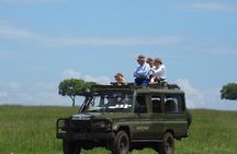 3 Days 2 Nights in Maasai Mara via The Great Rift Valley