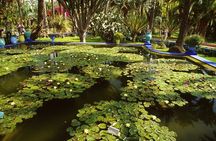 Half-Day Private Tour to Marrakech Gardens with Hotel Pickup