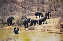 Ghanian adventure safari 8 days 7 Nights( comfort)