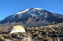Climb Mt kilimanjaro Rongai Route 8Days/7Nights