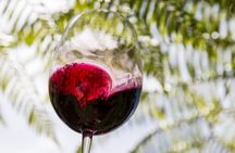 Private Essence of Waiheke Wine Tour