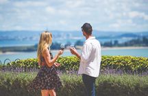 Private Essence of Waiheke Wine Tour