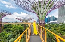 Singapore Instagram Private Walking Tour (Private & All-Inclusive)
