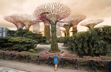 Singapore Instagram Private Walking Tour (Private & All-Inclusive)