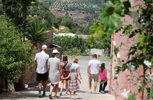 "YAMAS" - Winery tour &wine tasting