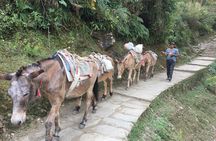 4 Days Poon Hill Trek
