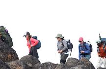 Kilimanjaro Climb- 8 Days Lemosho Route 