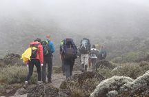 Kilimanjaro Climb- 8 Days Lemosho Route 