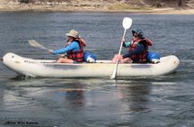 Canoeing Upper Zambezi 1 Day - River Wild Safaris